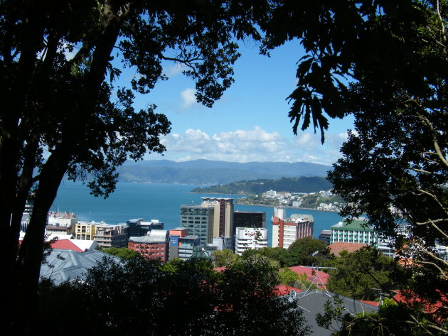 Wellington