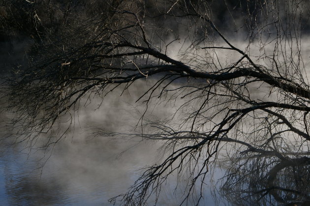 Pooltje in Rotorua