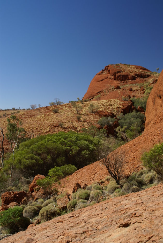 door kijkje in Kata Tjuta