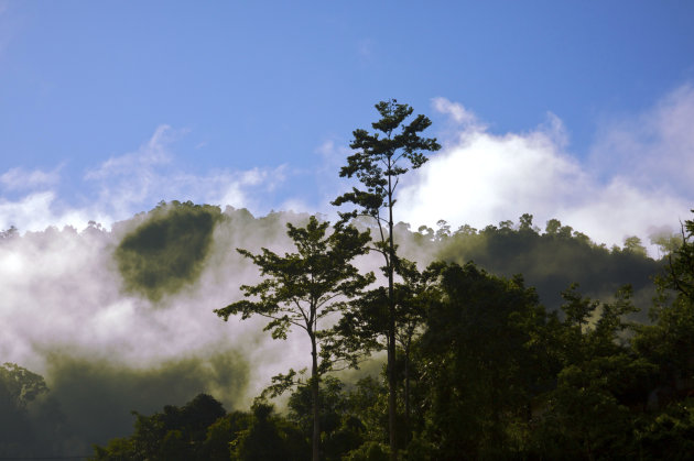 Taman Negara