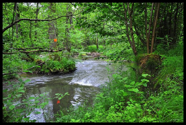 Muellerthal: de 'Schwarze Ernz'