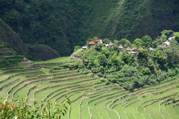 Rijstterrassen Banaue 1