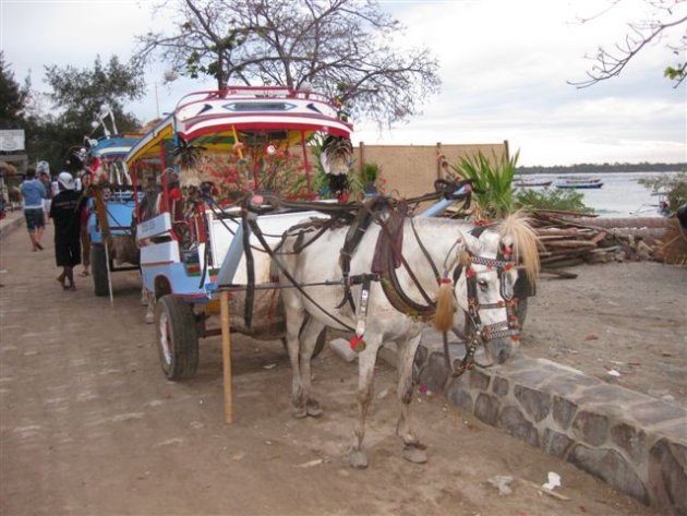 Vervoer op Gili - Lombok