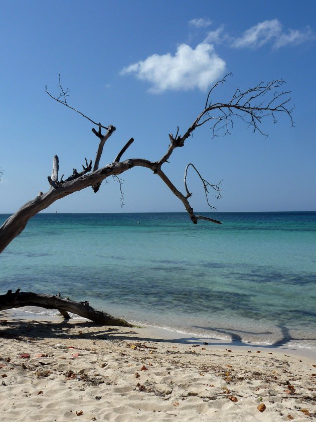 Seven mile beach Negril