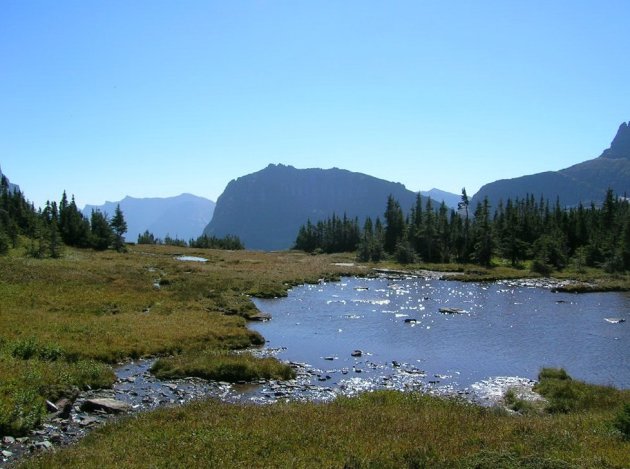 Logan Pass