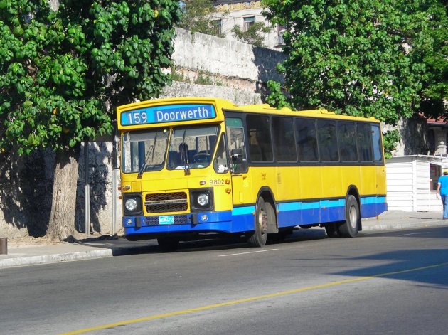 Nederlands bussen in Cuba