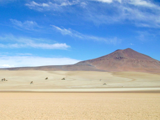 Dali Desert