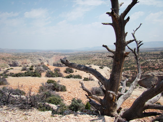 Bighorn Canyon 2