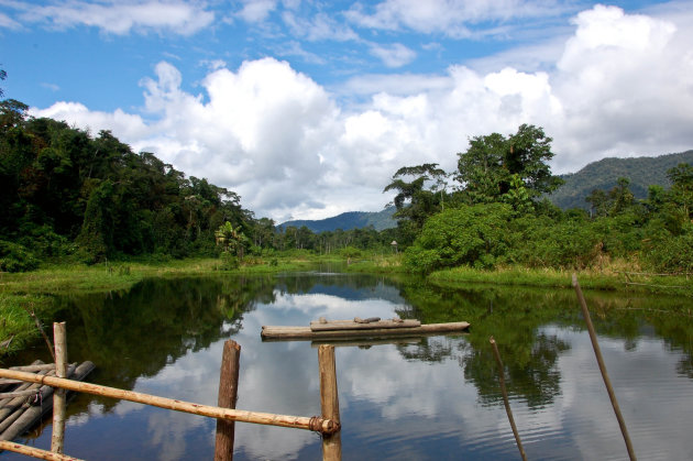 Manu National Park