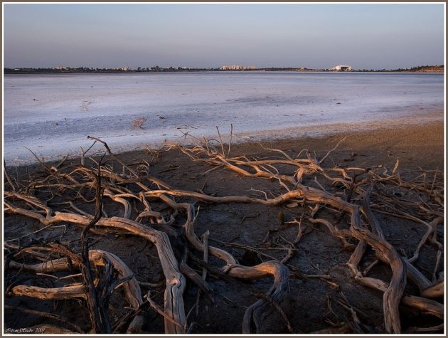 zoutmeer bij Larnaca