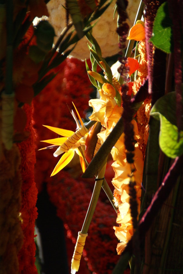 detail bloemwerk bloemencorso eelde