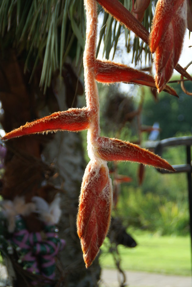 detail bloemwerk bloemencorso eelde