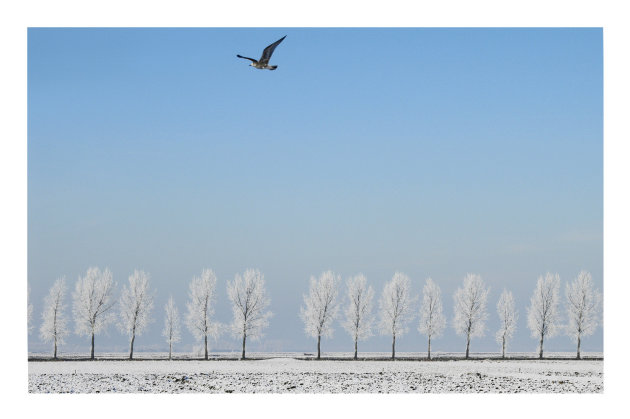 Winterlandschap 2