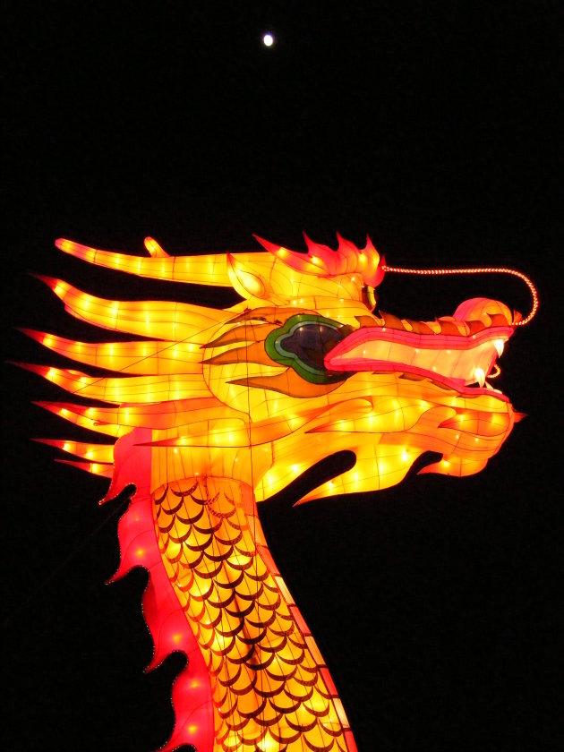 Draak China Festival of Lights