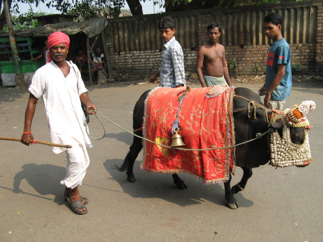 Man with donkey