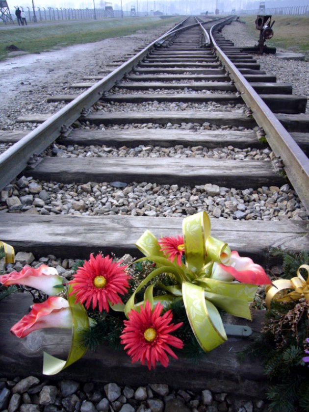 Auswitz Birkenau