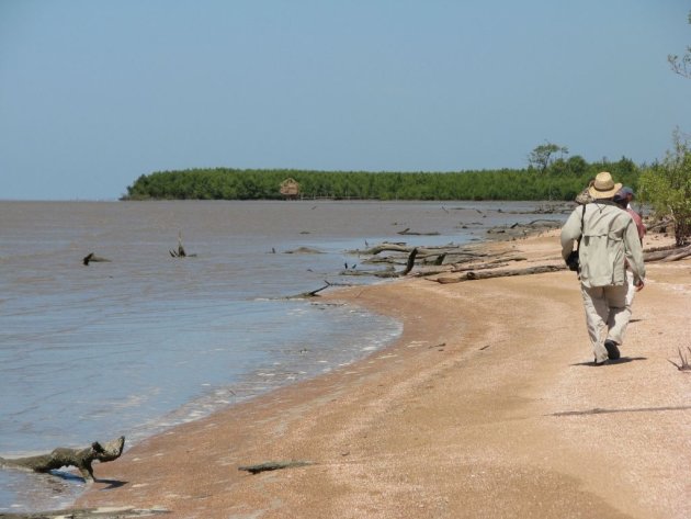 zandstrand suriname atlantische oceaan