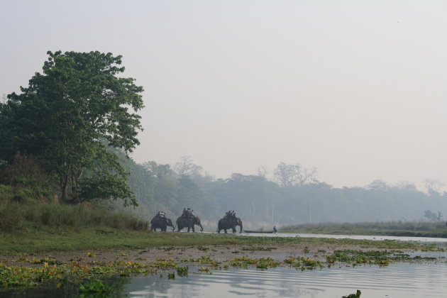 Olifantensafari