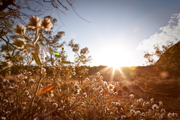 Zonsopgang bij Kata Tjuta