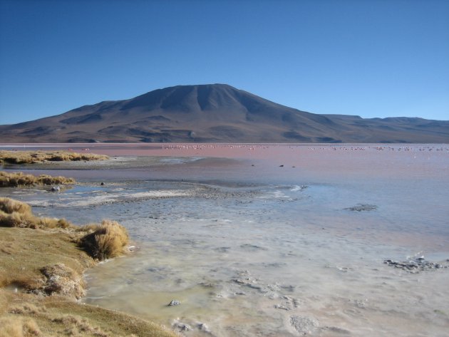Laguna Colorada 