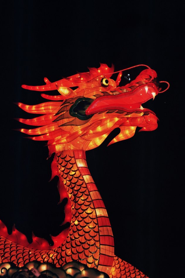 Chinese draak