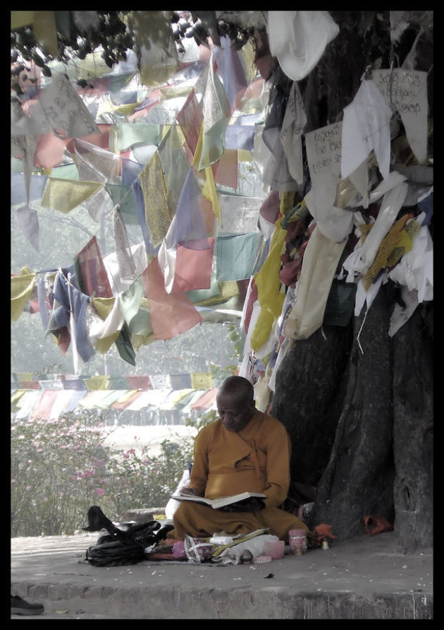 Levenswijsheid in Lumbini