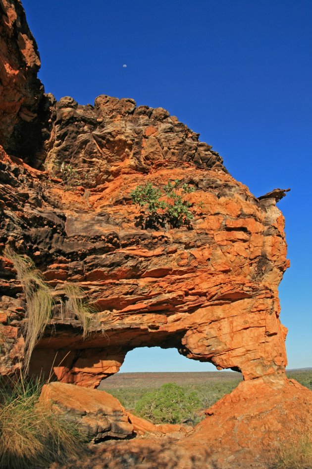 Natural window