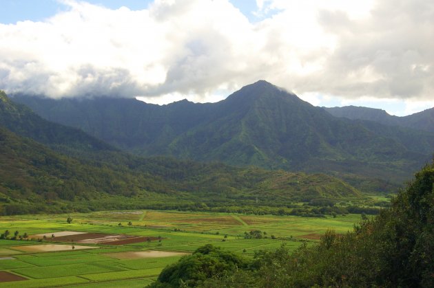 Hanalei Valley