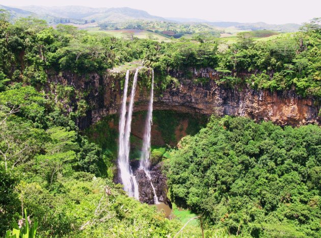 Charamel Cascades