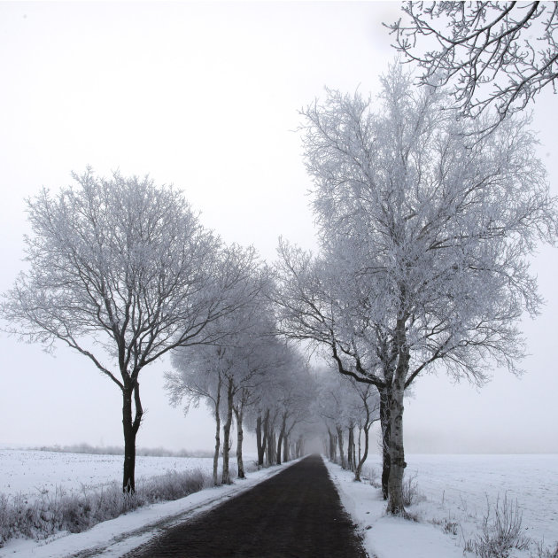 Winterlandschap