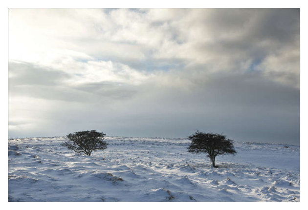 Sneeuwlandschap