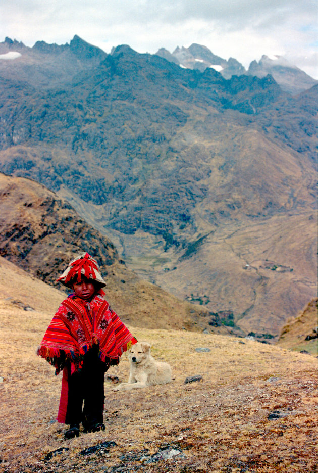 Herdersjongen in Andesgebergte