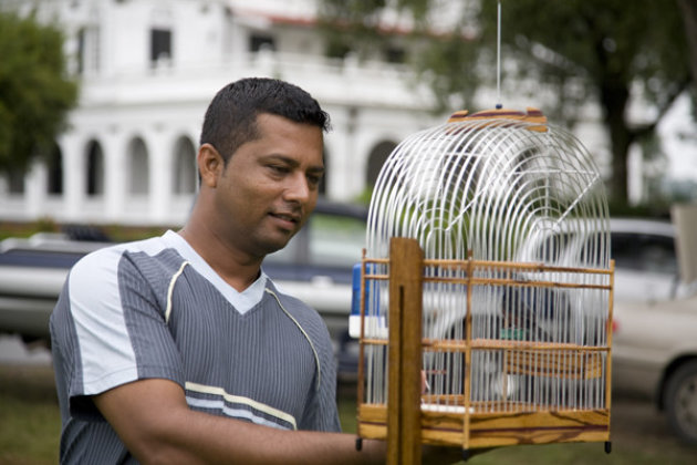 Surinaamse mannen en vogels......