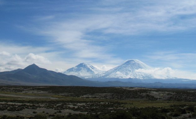 Lauca broeders