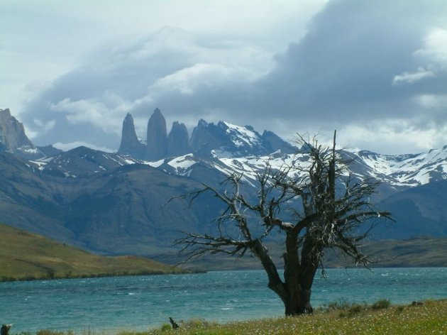 Torres del Paine