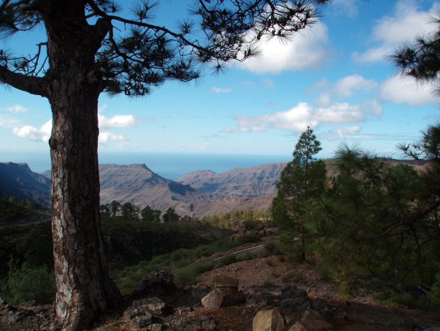 Gran Canaria bij  Cueva de las Niñas