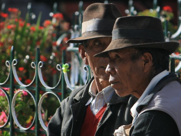 Oudjes op Plaza de Armas