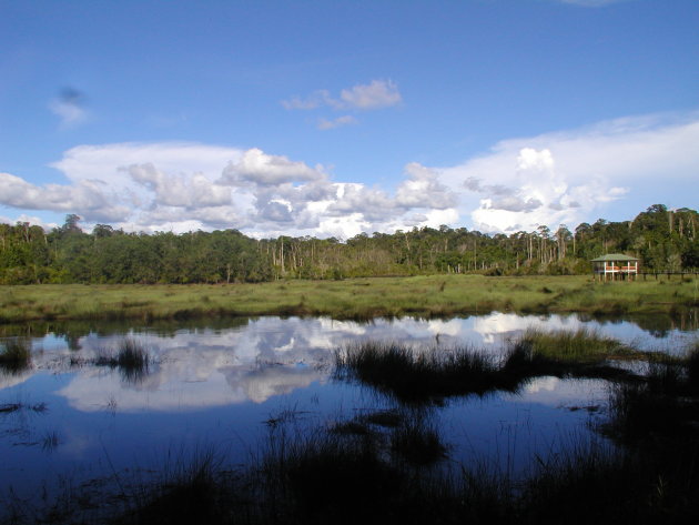 Krokodillenmeer