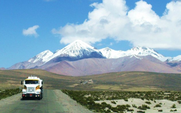 Lauca: ruta 11