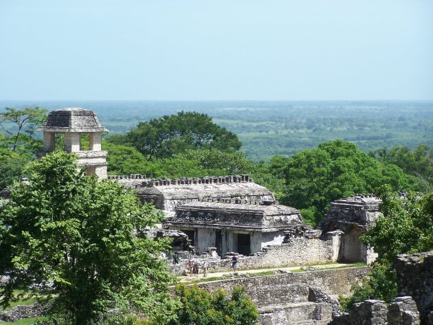 Maya ruïnes van Palenque