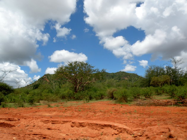 Tsavo NP