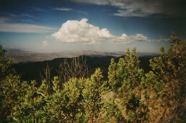 Cordillera Oriental