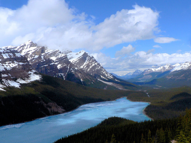 bevroren Peyto lake 