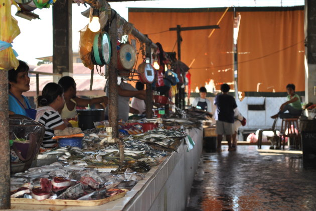 Public Market Coron