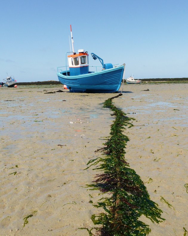 Bootjes op het droge