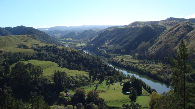 Uitzicht Wanganui River