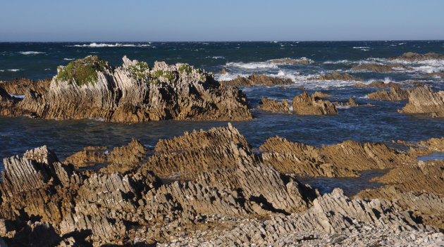 Kaikoura Coast