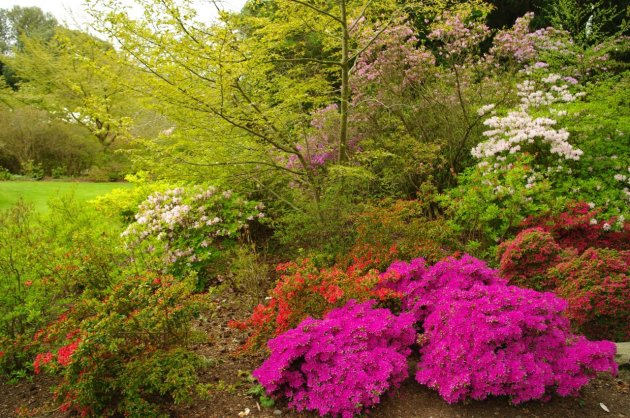 Bodnant Garden