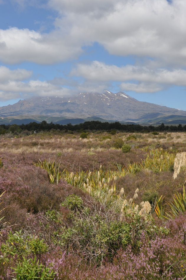 Mount Ruapehu