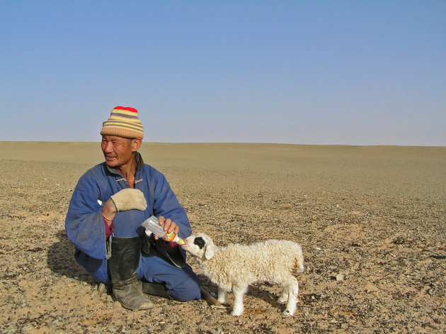 Man met Leplammetje in de Gobiwoestijn